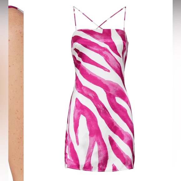 Rhea Mini Dress
The East Order pink zebra print slip party revolve formal $170 - Picture 2 of 14